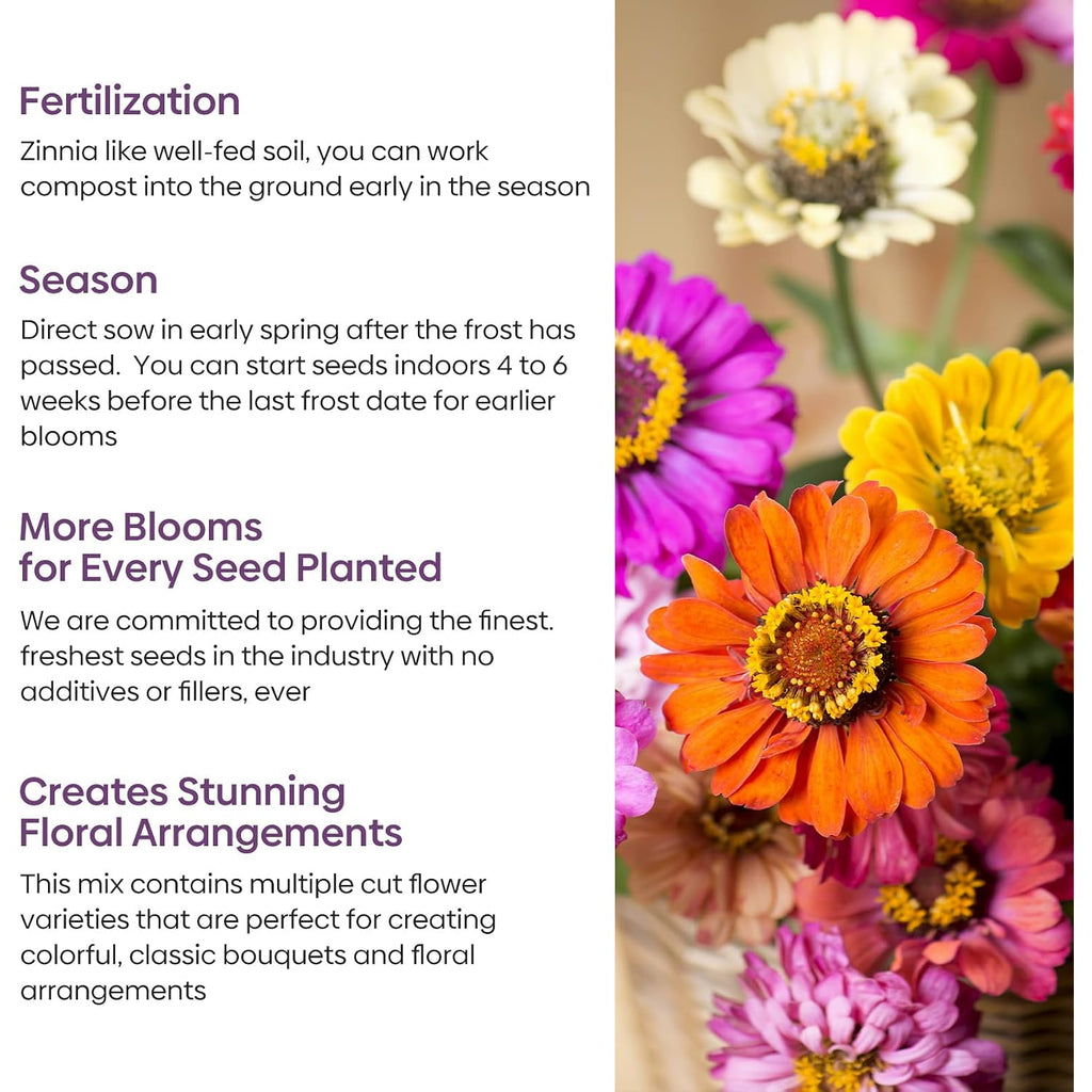 Zinnia Seeds Mix, 1 Oz, Over 3,000 Flowers Seeds, 5 Varieties (Pink, Yellow, Orange, White, Purple), Mixed Colors And Large Blooms,Open Pollinated - Bulk