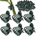 Accencyc 100 Pcs Plant Clips Orchid Clips Plants Orchid Support Clips Flower Vine Clips For Supporting Stems Vines Stalks Climbing Plant Grow Upright