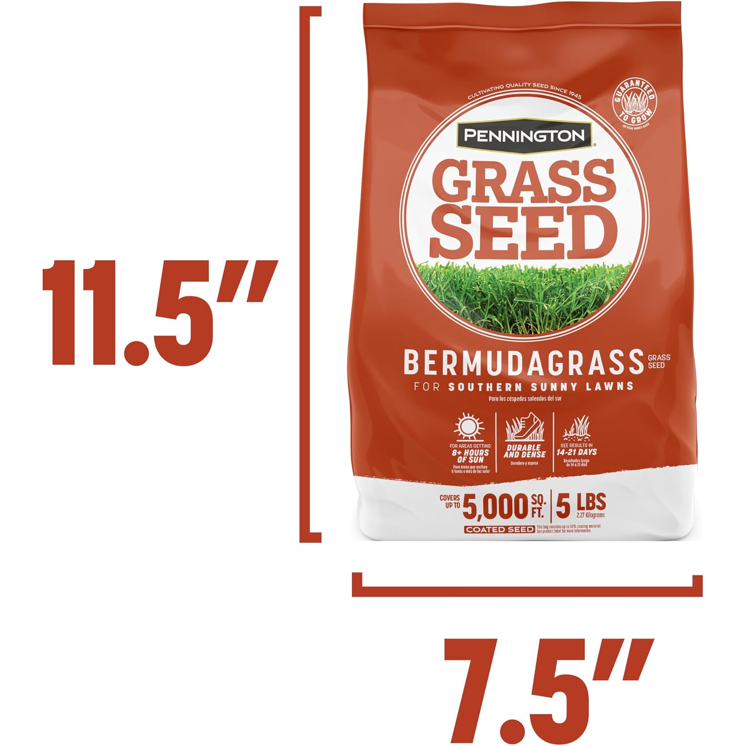 Pennington Bermudagrass Grass Seeds For Lawn, 5 Lb