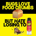Raid Ant & Roach Killer 26, Fragrance Free Bug Killer For Home Use, Kills Bugs On Contact, Roach And Ant Spray, 17.5 Oz, 2 Count