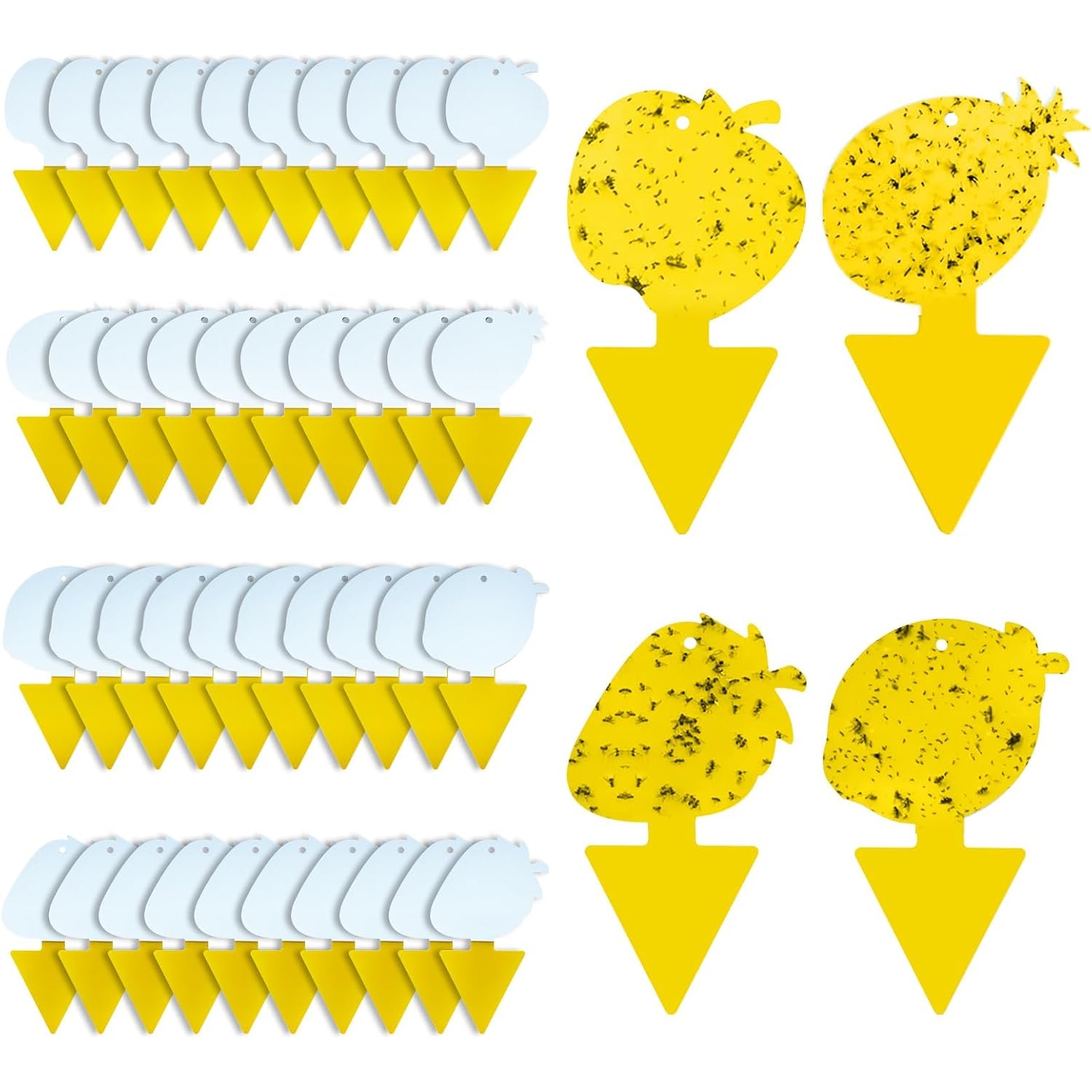 Fruit Fly & Fungus Gnat Traps 40 Pack, Yellow Sticky Traps | Non-Toxic, Odorless Yellow Sticky Traps For Fruit Flies, Fungus Gnats, Whiteflies, Aphids & Other Flying Pests.