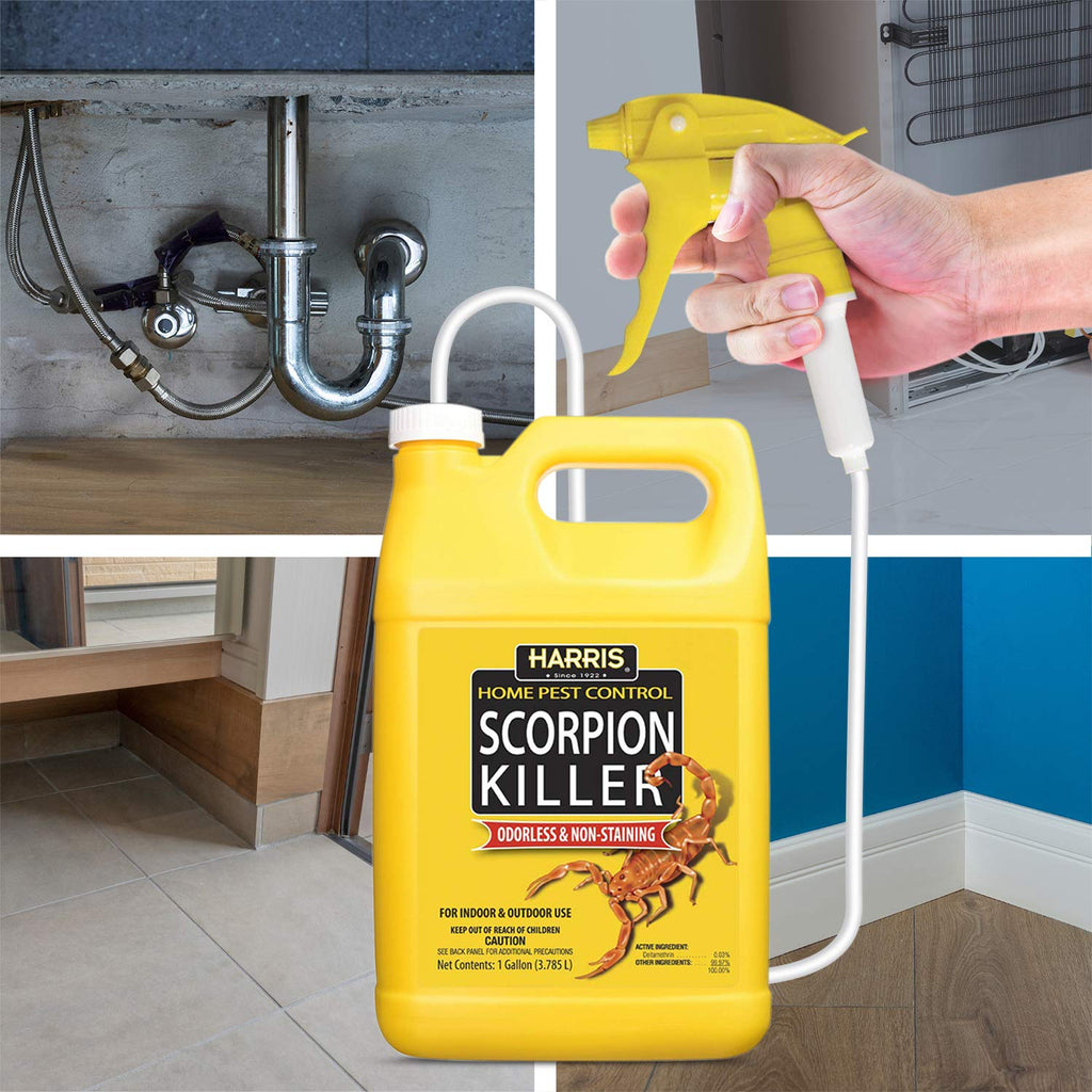 Harris Scorpion Killer, Liquid Spray With Odorless And Non-Staining Extended Residual Kill Formula (Gallon) 128 Fl Oz