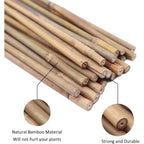 Gaginang Plant Stakes Natural Garden Bamboo Sticks For Indoor And Outdoor, 20Pcs For Tomatoes, Beans, Potted Plants - 18 Inches