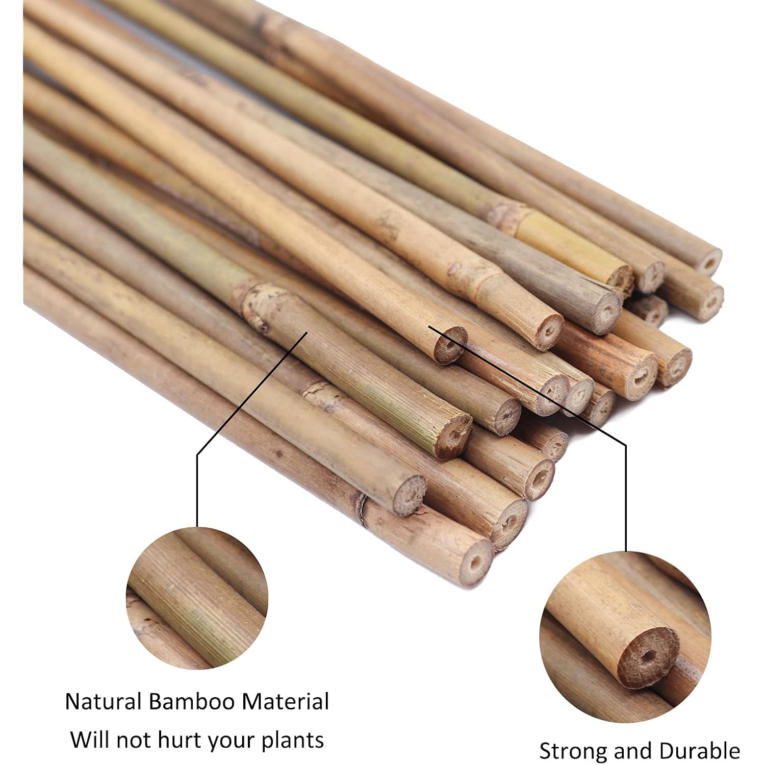 Gaginang Plant Stakes Natural Garden Bamboo Sticks For Indoor And Outdoor, 20Pcs For Tomatoes, Beans, Potted Plants - 18 Inches