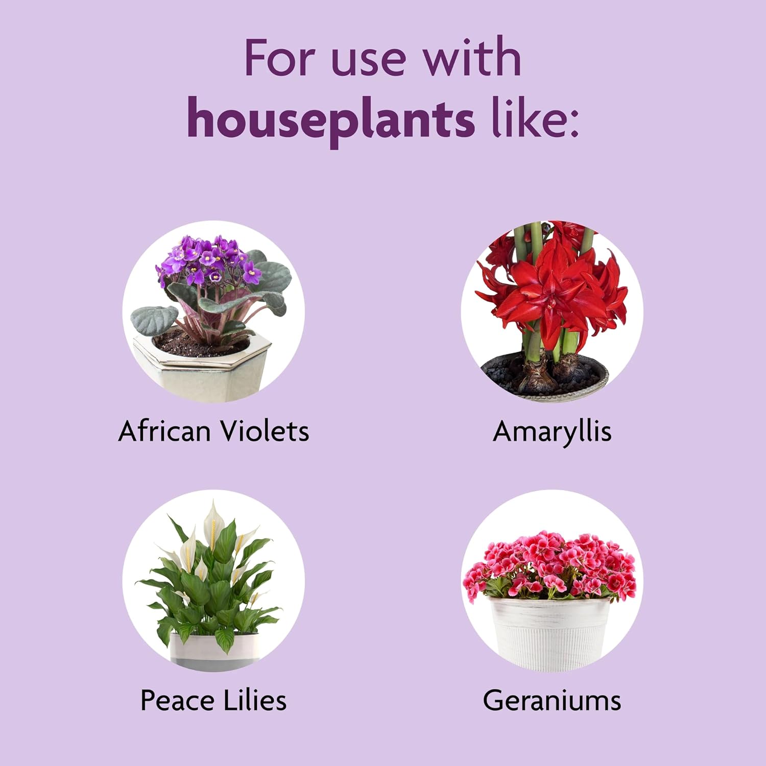 Miracle-Gro Blooming Houseplant Food, 8 Fl. Oz. | Fertilizer For Indoor Plants