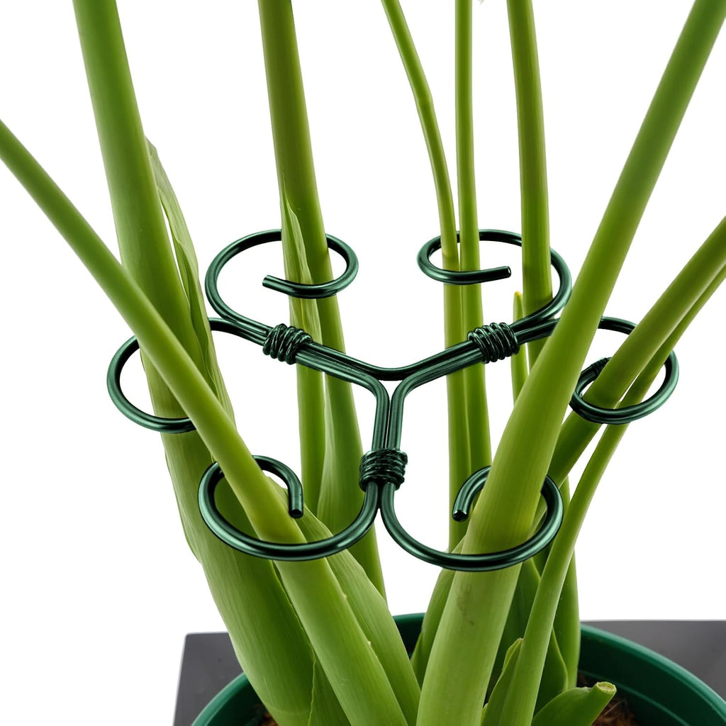 4Pcs Green Iron Monstera Support, Uniquely Designed Plant Support Stakes For Indoor Plants, Stable Plant Stakes And Supports, Turtle Shell Bamboo Clamp Set For Thriving Growth