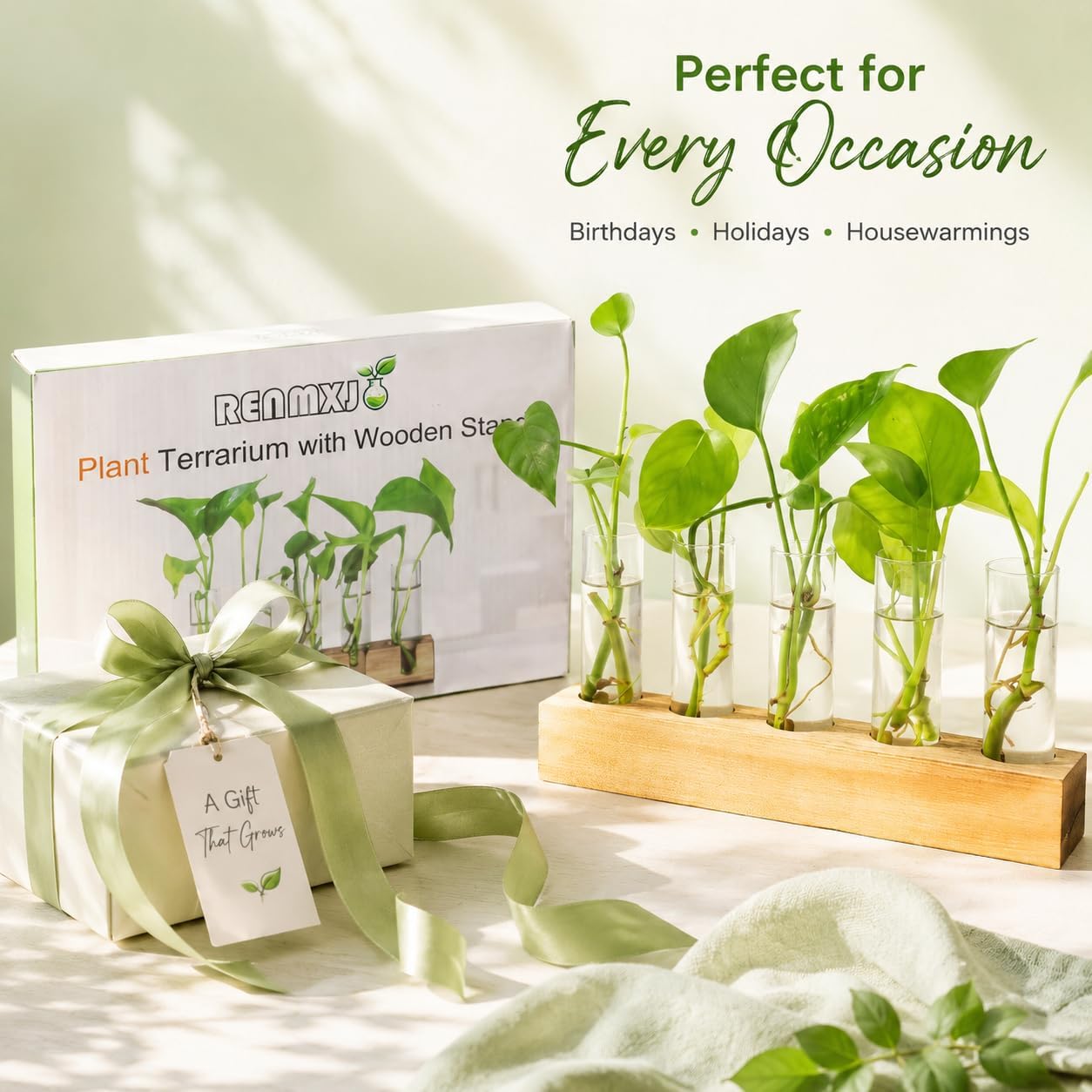 Plant Propagation Station, Plant Terrarium With Wooden Stand | Plants Pots For Hydroponics, Small Birthday Gardening Gifts For Women Mom Plants Lovers Unique - 5 Glass Test Tubes Vases