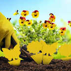 Fruit Fly Traps Indoor Fungus Gnat Trap 48Pcs For Plants Yellow Houseplants Outdoor Use Insect Sticky
