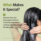 Ryo Root:Gen Korean Conditioner For Hair Loss Due To Breakage | Silicone-Free Formula | Lightweight Treatment With Jojoba Wax | For Hair Thickening & Volumizing | With Caffeine (11.9 Fl. Oz)