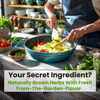 5 Herb Seeds Variety Kit, Oregano, Cilantro, Parsley, Basil, Chives