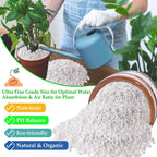 4 Quarts Organic Horticultural Perlite For Plants Indoor- Natural Horticultural Soil Additive Conditioner Mix For Improves Drainage, Ventilation And Root Growth