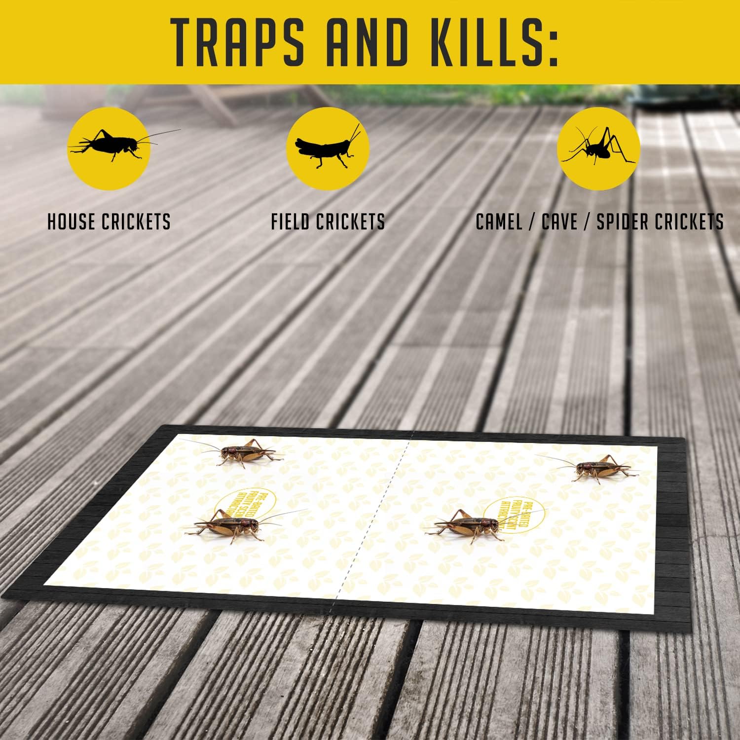 Cricket Traps Indoor (12 Traps) Extra Large Bug Sticky Traps - Non-Toxic Extra Sticky Glue Traps For Bugs - Pre-Baited Fruity Scent Crickets Bug Trap Indoor - Insect Glue Traps For Bugs - Trap A Pest