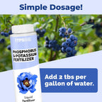 Phosphorus & Potassium Fertilizer – Liquid Bloom Booster For Strong Roots, Better Blooms & Improved Fruit Development, 8 Oz