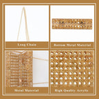 Goktow Rattan Acrylic Bag Clutch Purse Evening Bag Woven Handbag Summer Beach Purse