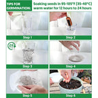 20,000+ Lettuce Seeds, Heirloom Vegetable Seed For Planting Indoor Outdoor, 10 Varieties Of Fresh Salad Greens For Hydroponics Kit, Easy To Grow For Garden Beginners, Non-Gmo
