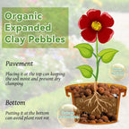 16Lb Organic Leca Clay Pebbles For Plants, 4-16Mm Drainage Leca Balls | Reusable, Aeration Lightweight Clay Balls, Moisture Retention For Hydroponics, Orchids, Succulents, Terrariums, Propagation