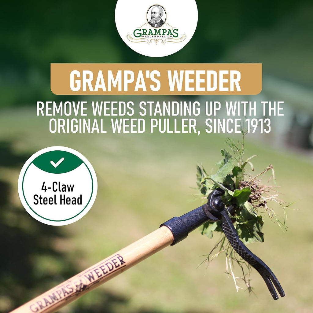 Grampa'S Weeder Original Stand Up Weed Puller Tool With Bamboo Long Handle | 4-Claw Steel Head • Weeding Tool • Weed Remover Tool • Pulls Dandelions, Crabgrass & Taproots • No Bending • Saves Your Back