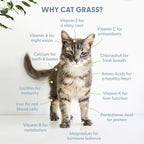 The Cat Ladies 100% Organic Cat Grass Seed (Non Gmo) 8Oz