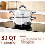 SUNHOUSE Stainless Steel Steamer Pot for Cooking - 3 QT Steaming Pot with Glass Lid & Steamer Basket - 2 Tier Tri-ply Vegetable Steamer with Stay-Cool Silicone Handles - Induction Compatible