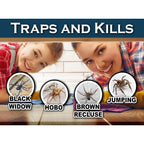 Maxguard Spider + Insect Traps (12 Pcs Box Trap) | Non-Toxic Extra Sticky Glue Traps, Kill Black Widow Hobo Brown Recluse Spiders And Other Crawling Bugs & Insects |