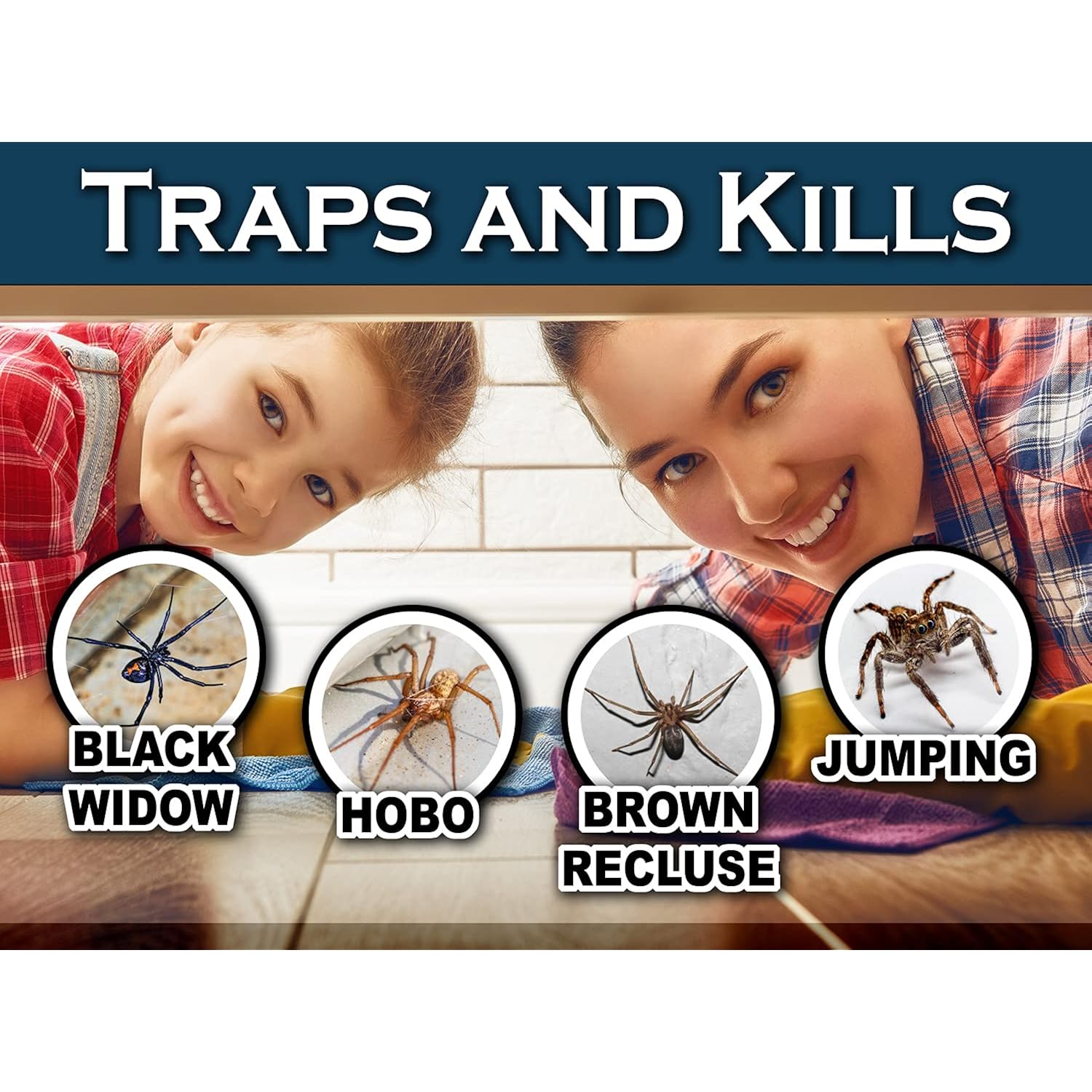 Maxguard Spider + Insect Traps (12 Pcs Box Trap) | Non-Toxic Extra Sticky Glue Traps, Kill Black Widow Hobo Brown Recluse Spiders And Other Crawling Bugs & Insects |