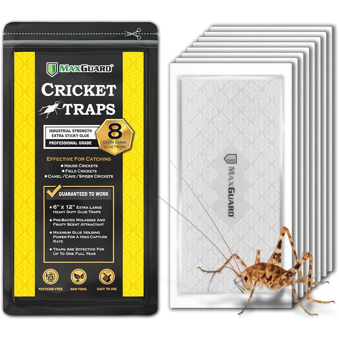 Maxguard Extra Large Cricket Traps (8 Traps) | Non-Toxic Extra Sticky Glue Board Pre-Baited Cricket Attractant Trap & Kill House Crickets, Insects, Spiders, Bugs