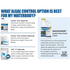 Cutrine-Plus Liquid Algaecide - 1 Gallon Epa-Approved Copper Formula For Fast Control Of Planktonic, Filamentous And Chara Algae - Professional-Grade For Ponds, Lakes, Hatcheries & Irrigation Systems