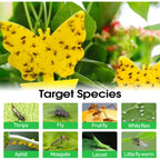 58 Pack Yellow Sticky Gnat Traps For Plants - Fungus Gnat Killer, Fruit Fly Traps For Indoors, Gnat Sticky Traps For Plants, Family Friendly Design, Sunflower + Butterfly Shapes