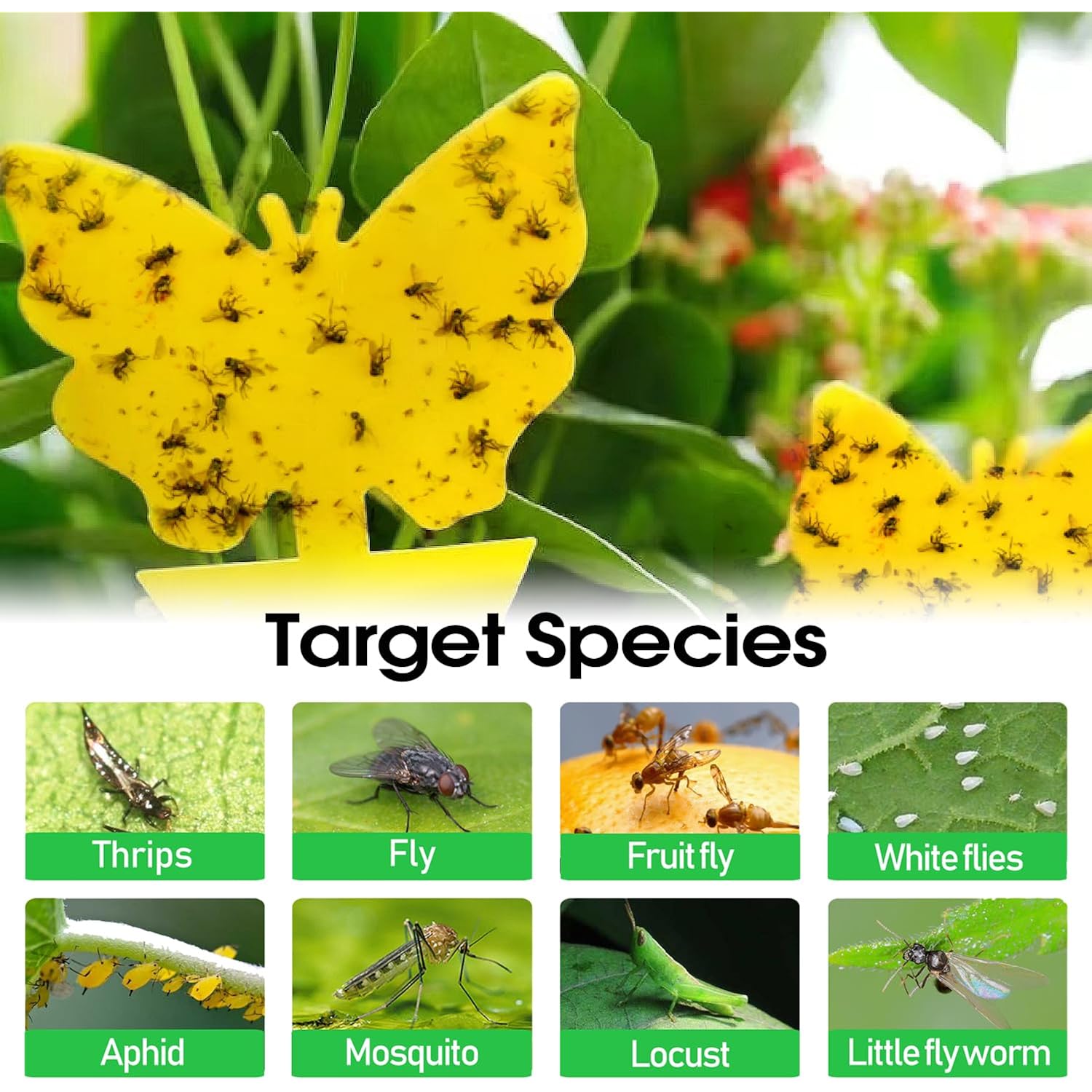 58 Pack Yellow Sticky Gnat Traps For Plants - Fungus Gnat Killer, Fruit Fly Traps For Indoors, Gnat Sticky Traps For Plants, Family Friendly Design, Sunflower + Butterfly Shapes