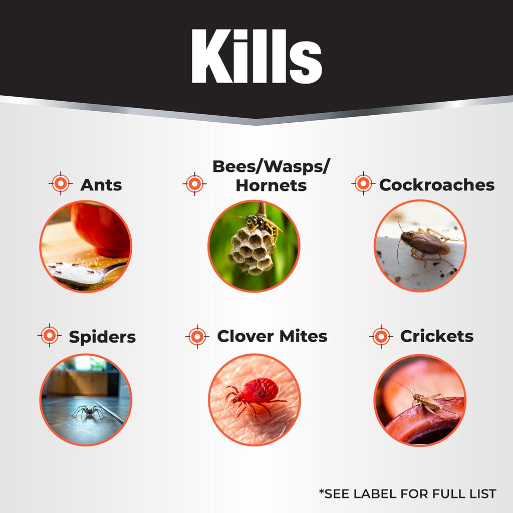 Revenge Spider & Ground Bee Killer, 10 Oz Ready-To-Use Dust Treatment | For Indoors And Outdoors, Repels Ants, Repels Bees, Repels Roaches, Repels Spiders