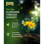 Foxfarm Tiger Bloom Liquid Plant Food - Phosphorus Fertilizer For Buds, Blooms & Flowering - Supports Soil & Hydroponic Systems - High Micronutrient Formula With 2-8-4 Nutrient Ratio - 1 Quart