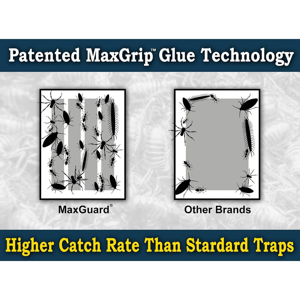 Maxguard Maxgrip Glue Traps (24 Traps) Non-Toxic Extra Sticky Glue Board Pre-Baited With Fruity Scent Attractant Trap & Kill Insects, Bugs, Spiders, Crickets, Scorpions, Cockroaches, Centipedes, Mice