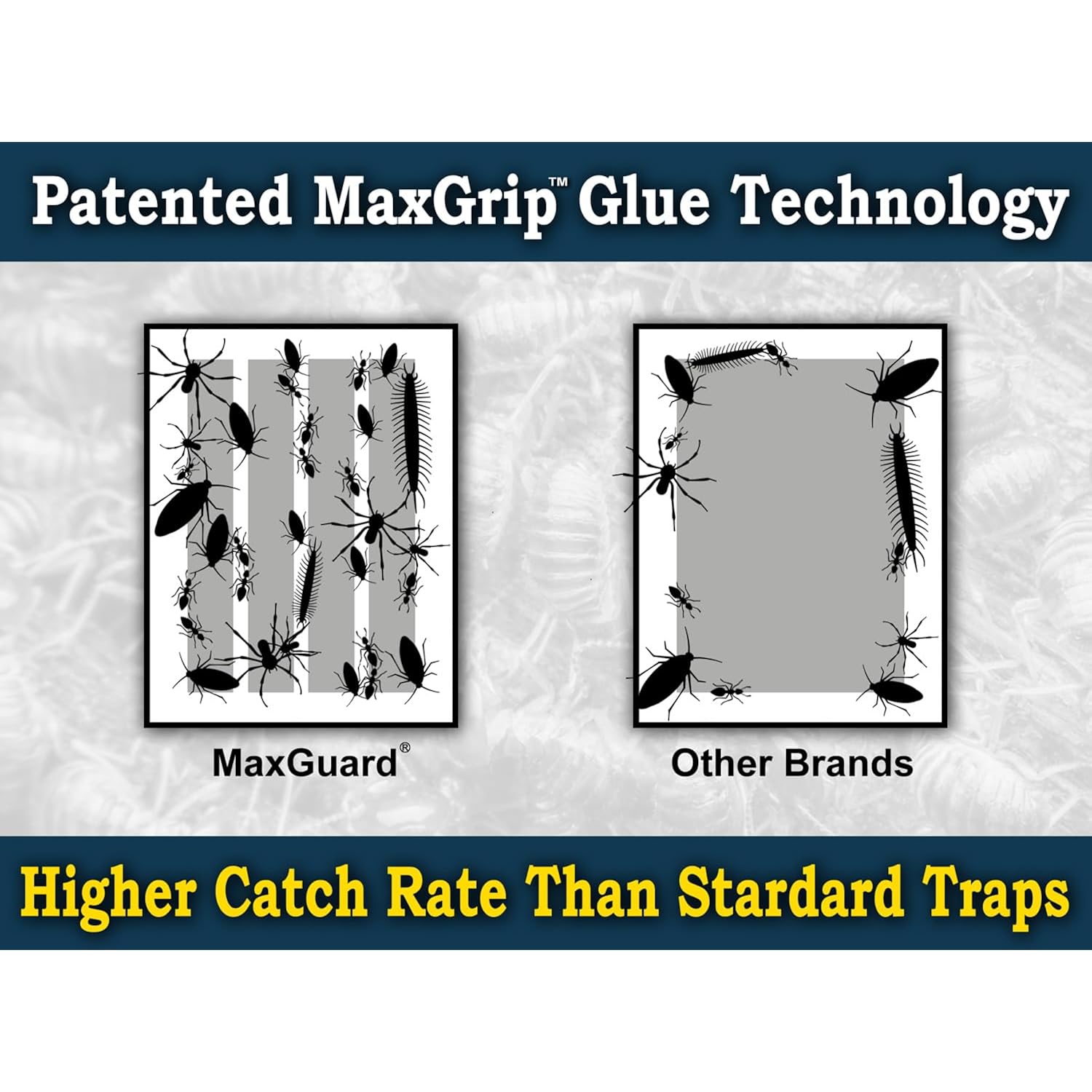 Maxguard Maxgrip Glue Traps (24 Traps) Non-Toxic Extra Sticky Glue Board Pre-Baited With Fruity Scent Attractant Trap & Kill Insects, Bugs, Spiders, Crickets, Scorpions, Cockroaches, Centipedes, Mice