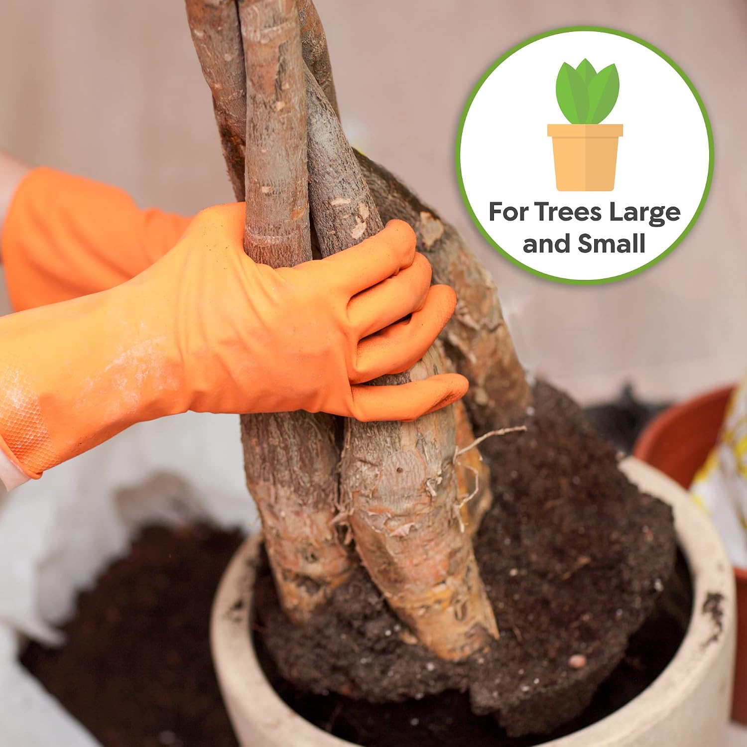 Perfect Plants Money Tree Potting Soil 4Qt | Organic Coco Coir Based Plant Mix For Indoor Trees | Quickly Grow Your Indoor Forest