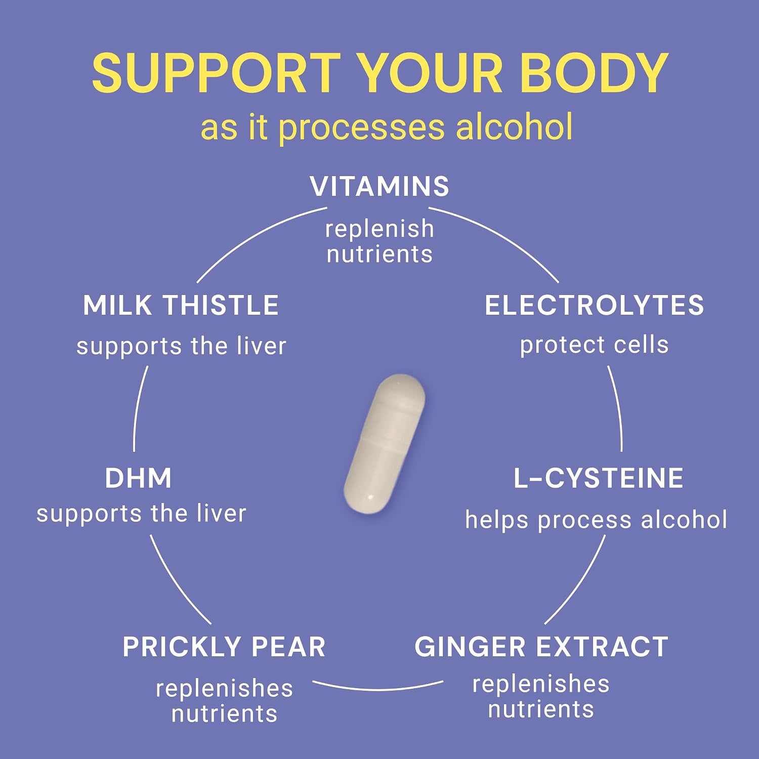 Blowfish Wingman | Supplement With Dhm + L-Cysteine + Electrolytes | Feel Better After Drinking | Pre-Alcohol Liver Support & Hydration