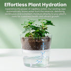 Maqihan Wicking Rope For Plants - 50 Feet 1/4 Inch Self Watering Wick Cord | Water Wicks, Cotton Rope, Plant Wicks, Diy Vacation Watering System, Capillary Wick For Garden, Orchid, Tomato, Potted Plants