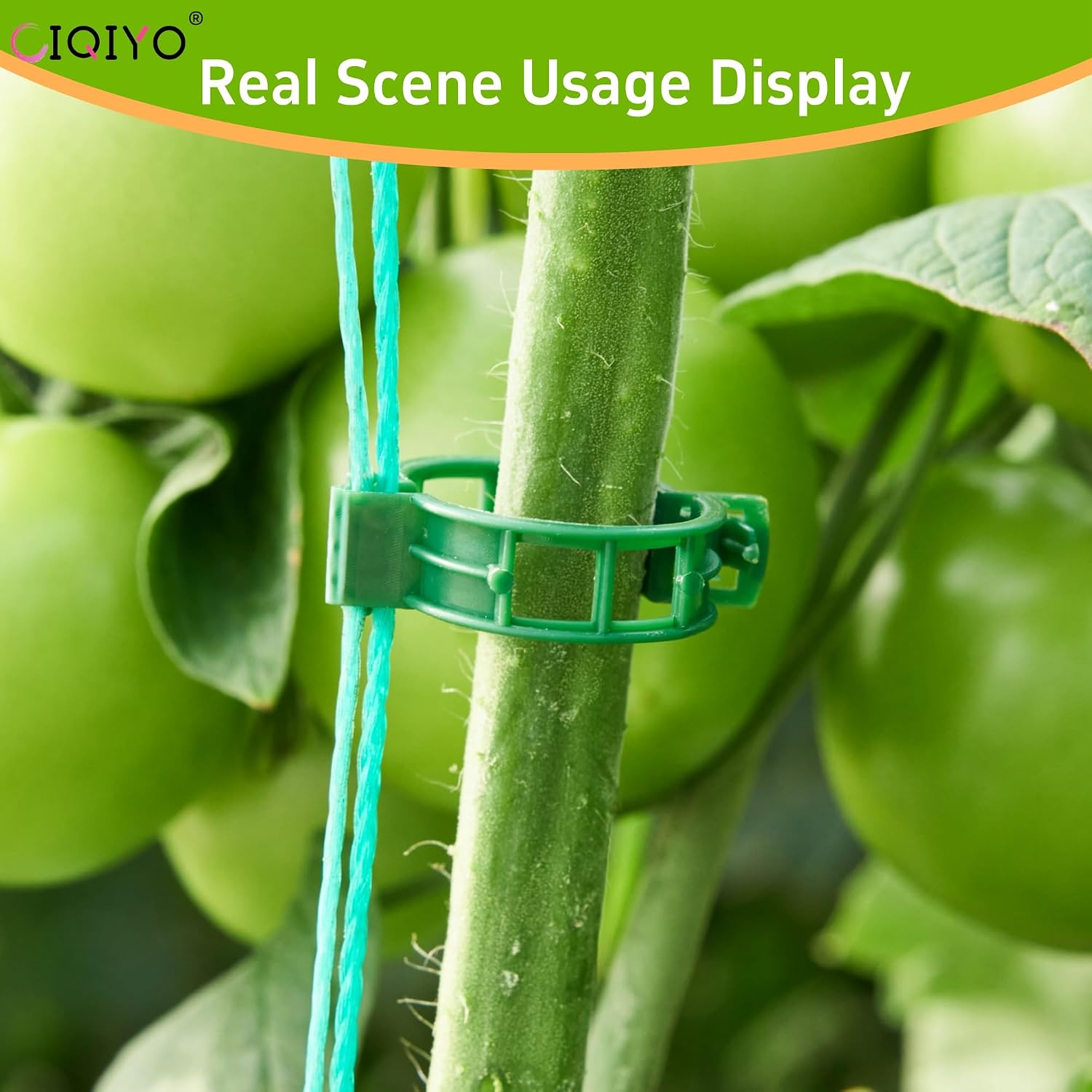 Ciqiyo® 100 Pcs Plant Support Clips,Plastic Clips For Securing Plants | Tomato Vine Clips,Garden Clips For Climbing Plants,Grape And Vine Vegetables,Reusable,Vacuum Packaging (100, Green)