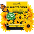 Black Eyed Susan Seeds For Planting, 5000 Seeds, Giving You Beautiful Black Eyed Susan Flowers, Non-Gmo, Heirloom Seed Varieties