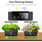 Indoor Garden Hydroponics Growing System: 10 Pods Plant Germination Kit Herb Vegetable Growth Lamp Countertop With Led Grow Light - Hydrophonic Planter Grower Harvest Lettuce
