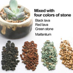 Mix Horticultural Lava Pebbles Pumice Potting Soil Amendment Succulent Cactus Bonsai Gritty Rock Decorative Gravel Plant Drainage Volcanic Rock For Terrarium Fairy Gardening Top Dressing 2.2Lb