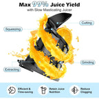 Juicer Machines with 5.8" Large Chute, 2-in-1 Cold Press Juicer for Whole Vegetables Fruits 400W, Masticating juicer Easy to Clean Juice Extractor Machine for Making Nut Mike, Juice, Premium Gray