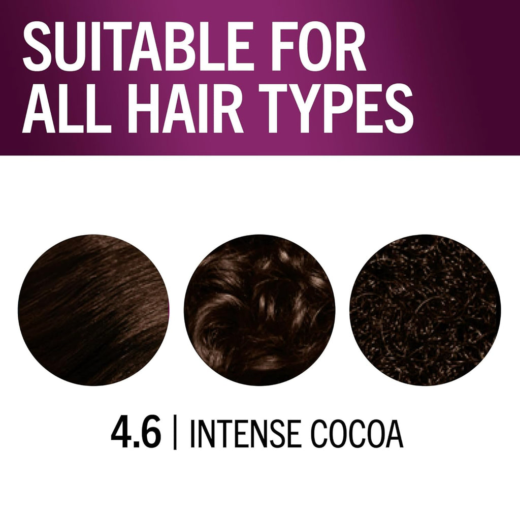 Schwarzkopf Keratin Permanent Hair Dye Cream, 4.6 Intense Cocoa, Professional Quality Color for Up to 100% Gray Coverage, Bond Enforcing System