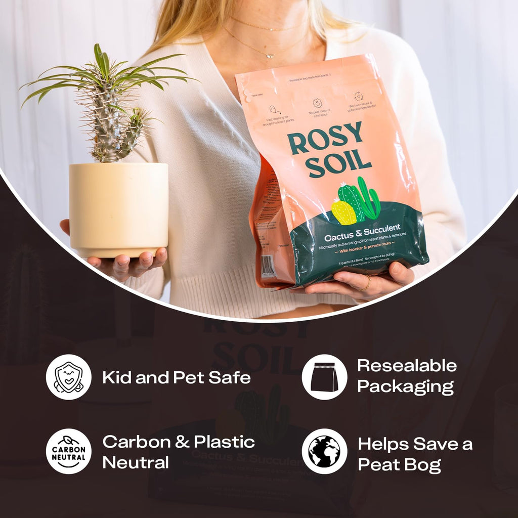 Rosy Soil Cactus & Succulent Potting Mix, 4 Quarts | Organic Succulent Potting Soil, Chunky Fast Draining, Peat-Free, Root Boosting Mix, For Aloevera, Cacti, Indoor Succulents