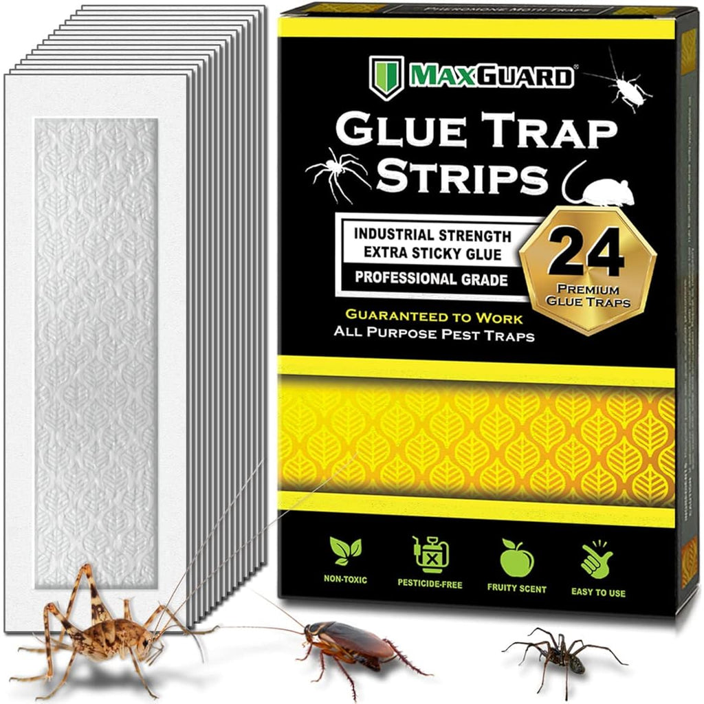 Maxguard Glue Trap Strips (24 Traps) Non-Toxic Extra Sticky Glue Board Pre-Baited With Fruity Scent Attractant Trap & Kill Insects, Bugs, Spiders, Crickets, Scorpions, Cockroaches, Centipedes, Mice