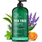 Botanic Hearth Tea Tree Shampoo, Vitamin C, Peppermint, Lavender And Rosemary Oil, Fights Dandruff And Dry Scalp, 16 Fl Oz