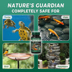 Muck Clear – Natural Pond Sludge Treatment, 500 Tablets For Ponds, Fountains & Bird Baths, Beneficial Bacteria & Enzymes, Chemical-Free & Safe For Fish, Pets & Wildlife
