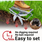 Mole Trap Scissor 2 Pack, Upgraded Mole Traps For Lawns That Kill Best, Galvanized Steel Mole Killer, Step Setup