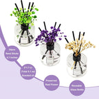 Reed Diffuser Set Of 3 Pack,Lavender Eucalyptus/White Jasmine/Lemongrass Scented Oil Diffuser With 24 Sticks(1.7 Fl Oz Each Pack),Air Freshener For Bedroom Bathroom Office | Shelf Decor