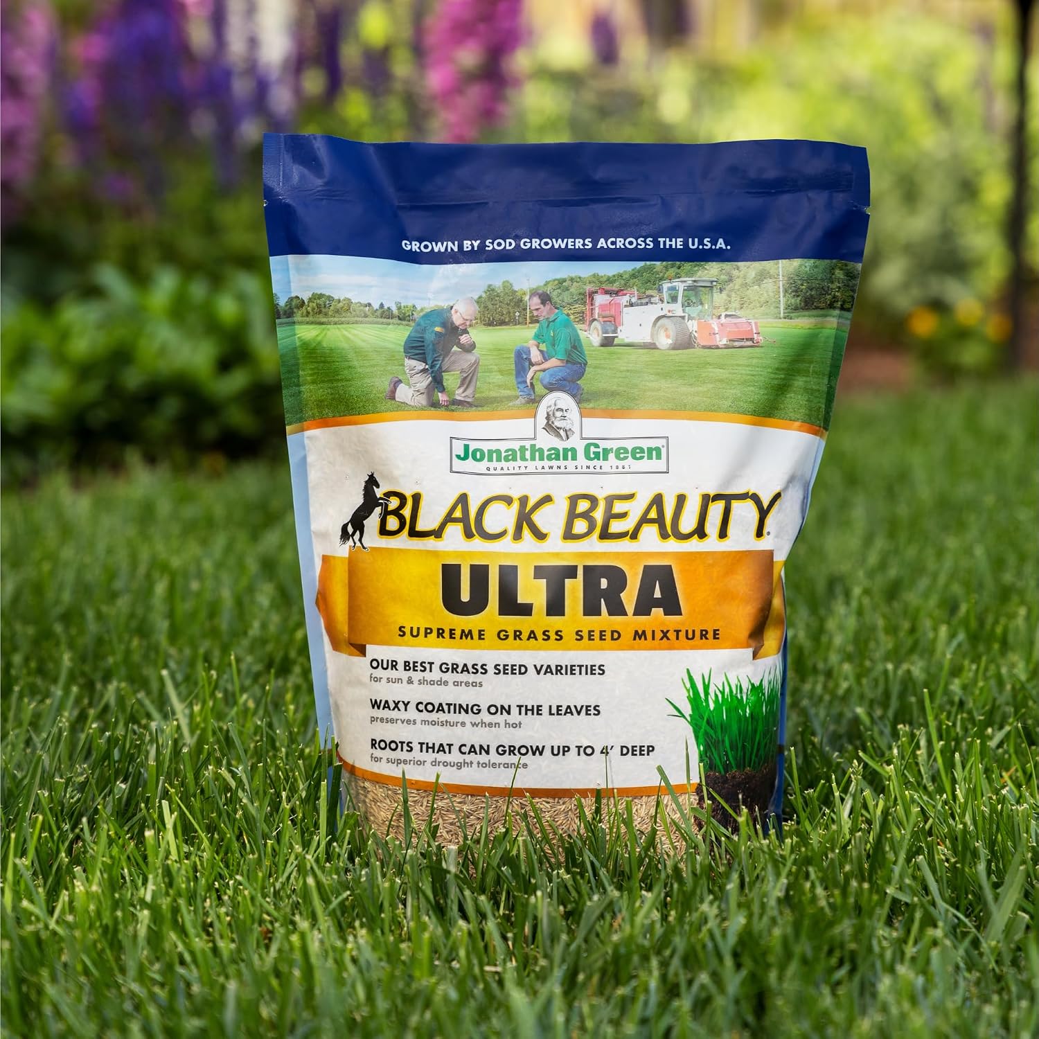 Jonathan Green (10322) Black Beauty Ultra Grass Seed - Cool Season Lawn Seed (7 Lb)