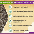 Succulents Soil Potting Mix – 7 In 1 Ingredients Well-Draining, Nutrient-Rich Cactus Potting Soil For Succulents And Cacti, Indoor & Outdoor Use, Ready To Use, Supports Healthy Root Growth, 1Qt